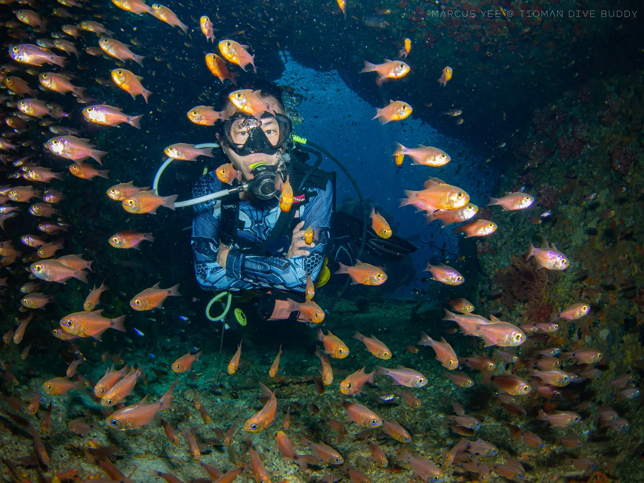 A diver surrounded by small orange fish above the reef
