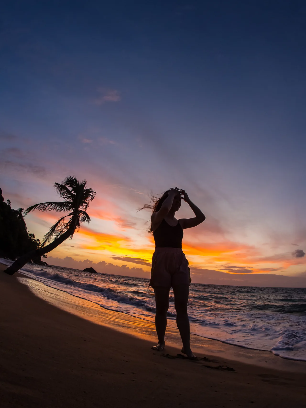 A person silhouetted beside a palm tree on the beach at sunset