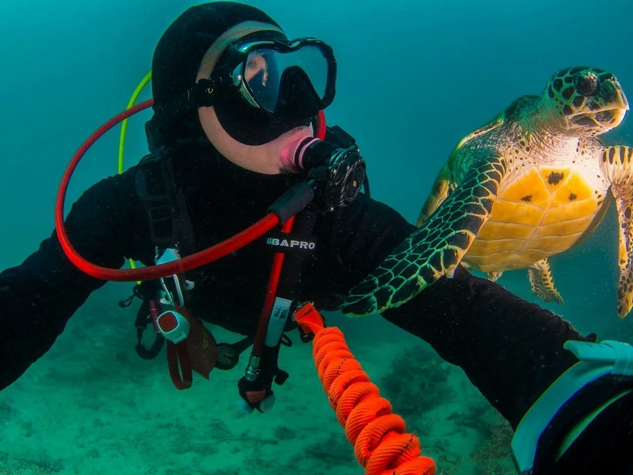 PADI Discover Scuba Diving