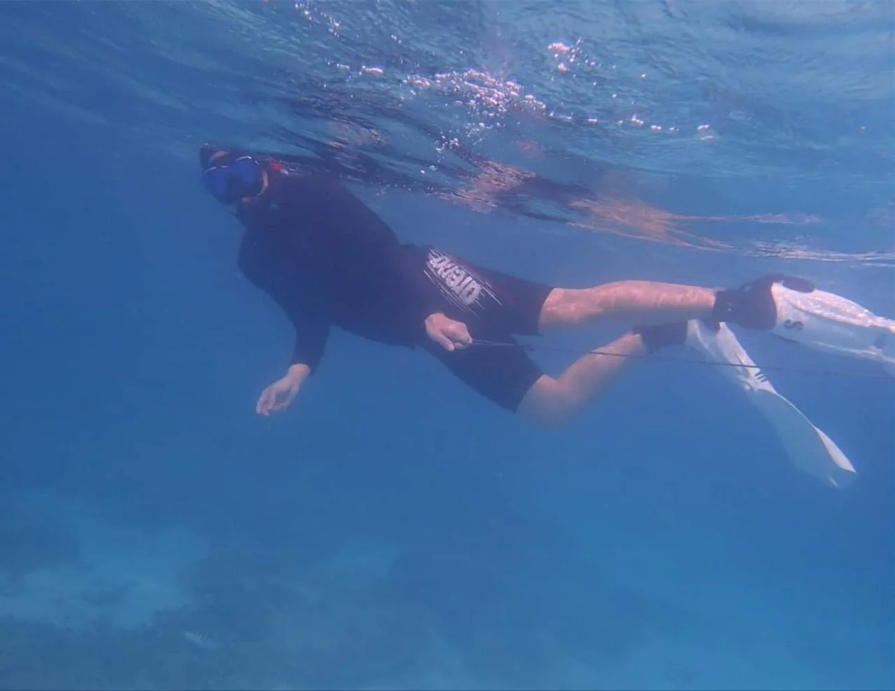 A snorkeler swimming just beneath the sea surface