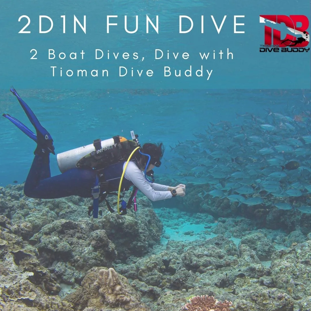 2D1N Fun Dive in Tioman