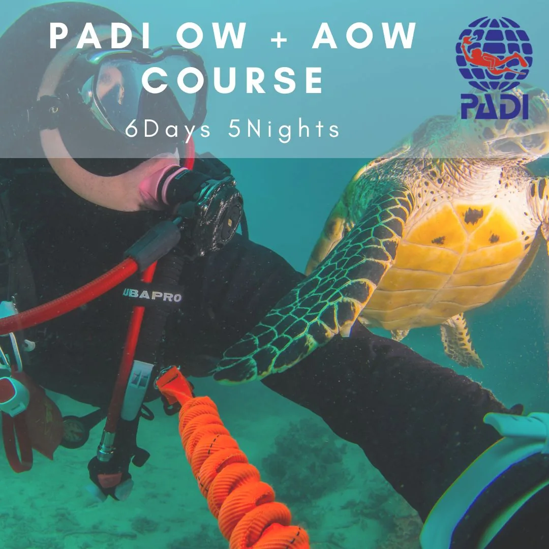 Open Water Diver + Advanced Open Water Diver Course