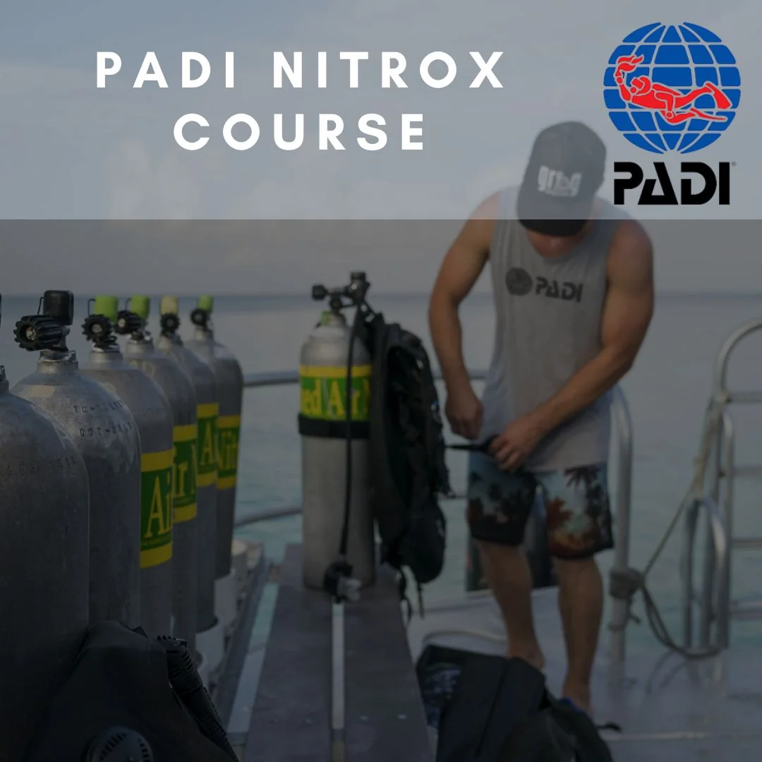 PADI Nitrox Course