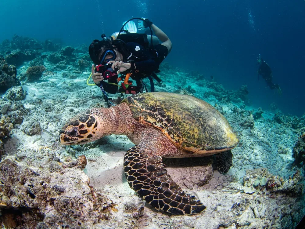5D4N Fun Dive in Tioman