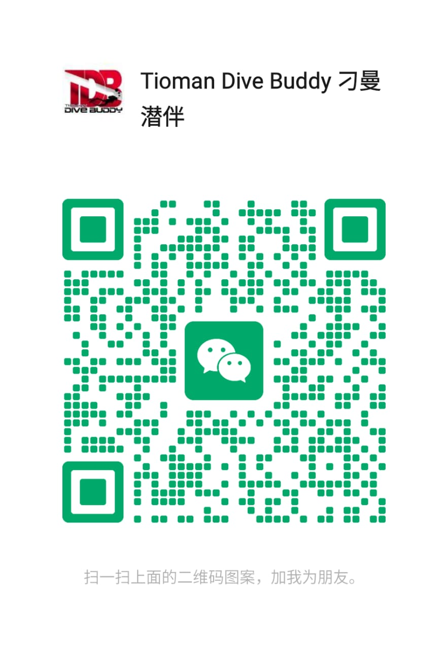 Tioman Dive Buddy WeChat QR Code