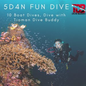 TDB - Fun Dive in Tioman | Tioman Island Diving