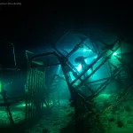 night dive in tioman island