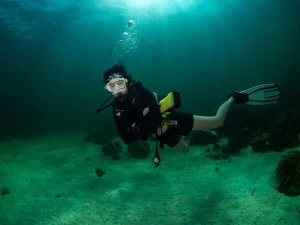 Affordable Scuba Diving Certification Courses Near Me