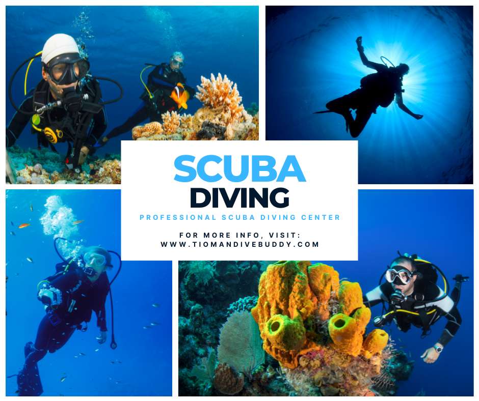 Beginner scuba diving locations in Malaysia